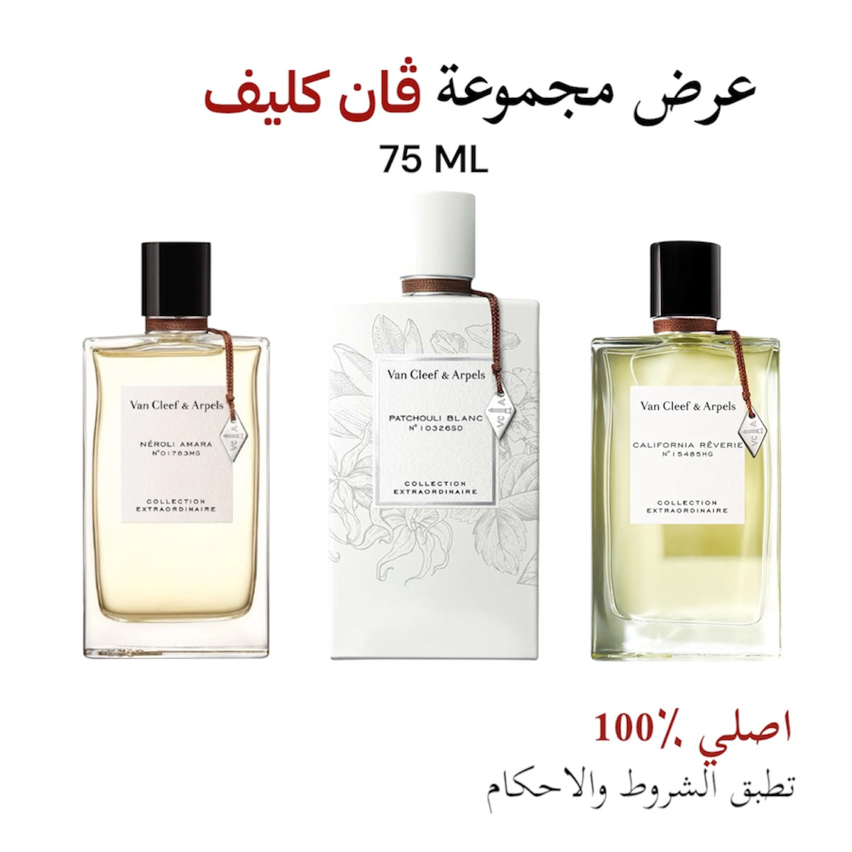 مجموعة صيف ڤان كليف