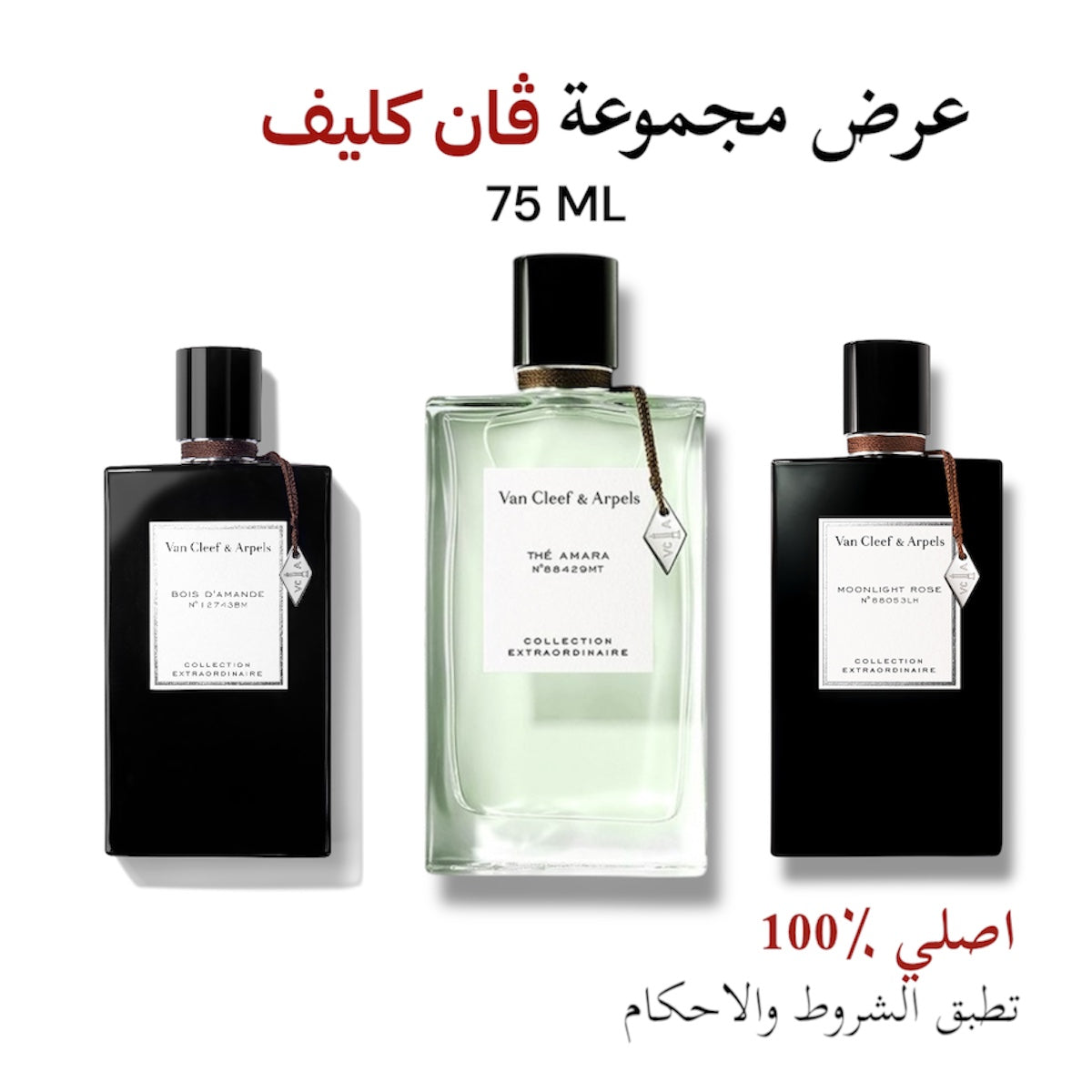 مجموعة أمسيه ڤان كليف
